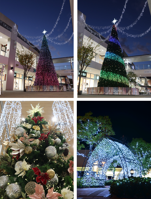 クリスマス☆イルミネーション☆B 藤島イルミネーション【～2026年1月12日】 – つるおか観光ナビ