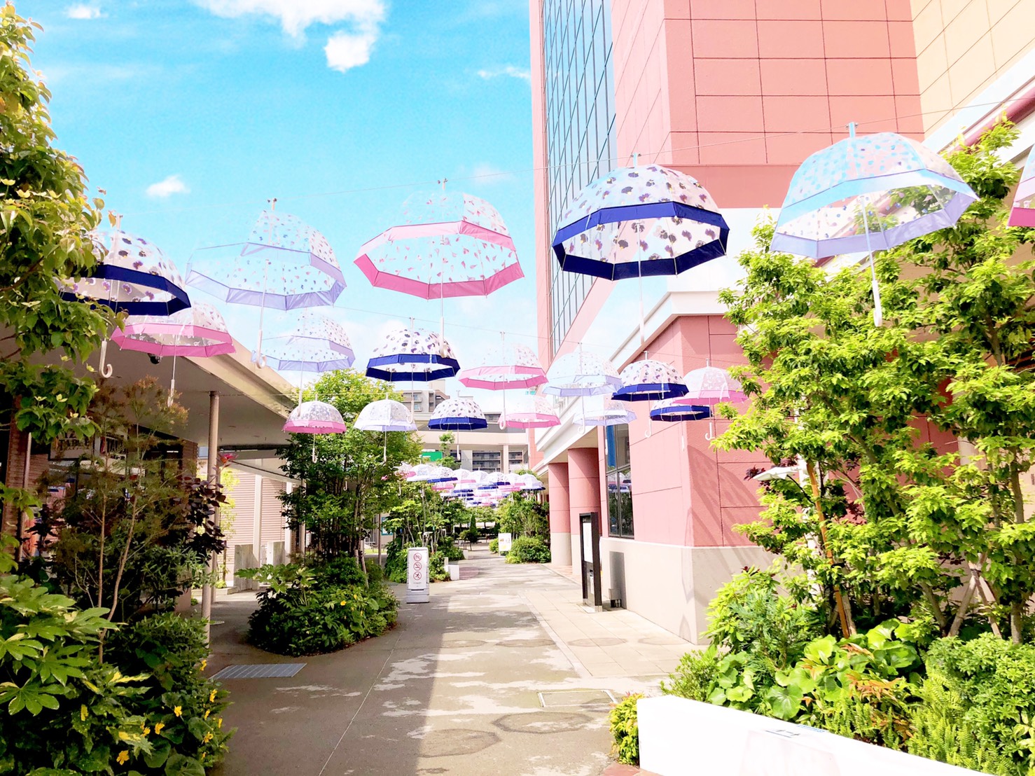 イベント&お知らせ | 草津駅前ショッピングセンター エイ