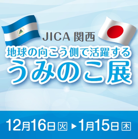 JICA 関西 地球の向こう側で活躍するうみのこ展