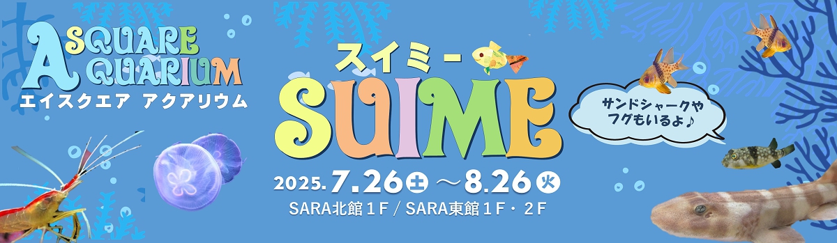 ASQUARE アクアリウム「SUIME（スイミー）」