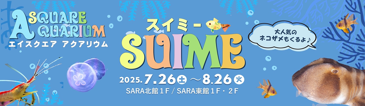 ASQUARE アクアリウム「SUIME（スイミー）」