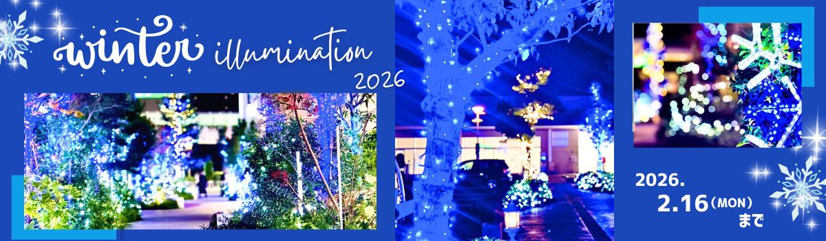 ウィンターイルミネーション2026